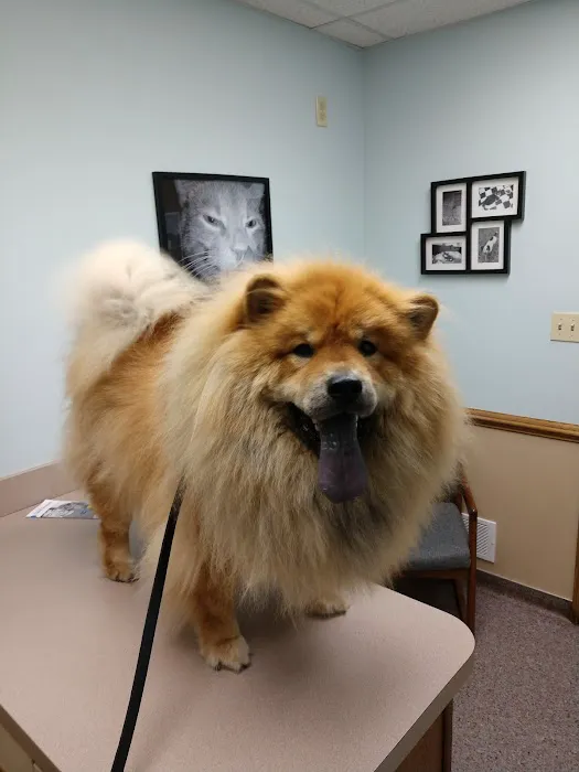 Macedonia Veterinary Clinic 12