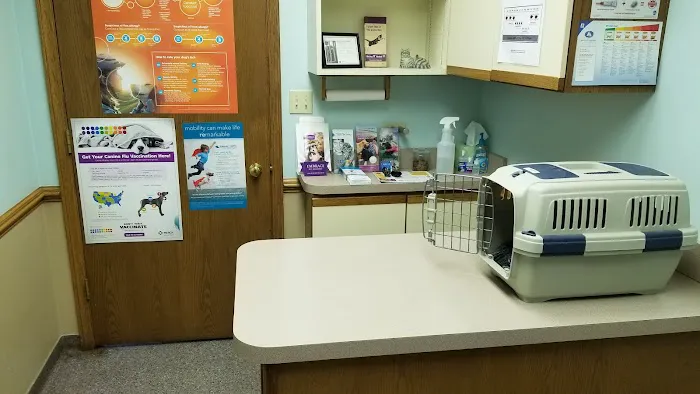 Macedonia Veterinary Clinic 12