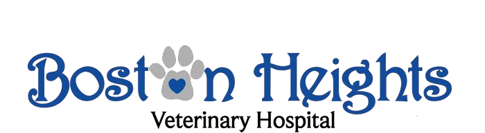 Boston Heights Veterinary Hospital 12