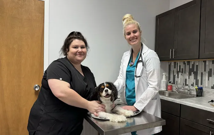 Tinkers Creek Veterinary Clinic 2