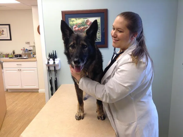 Stow Falls Pet Clinic, Inc. 12