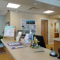 Stow Falls Pet Clinic, Inc. ico