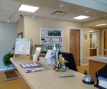 Stow Falls Pet Clinic, Inc.
