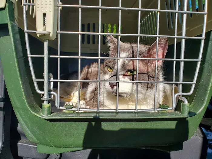 Keystone Veterinary Clinic 8
