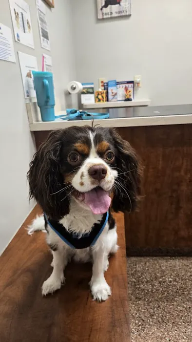 Keystone Veterinary Clinic 3
