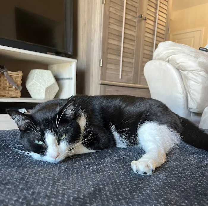 Keystone Veterinary Clinic 5