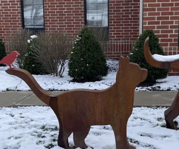 Keystone Veterinary Clinic