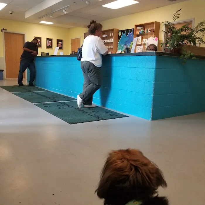 Gateway Animal Clinic 12