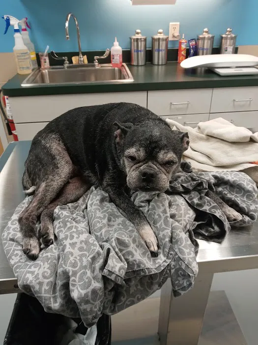Gateway Animal Clinic 12