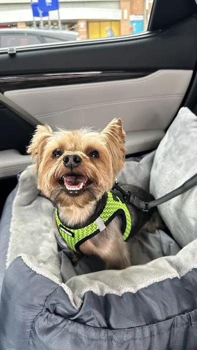 The Family Pet Clinic 12