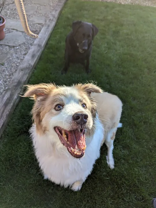 The Family Pet Clinic 12