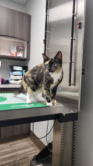 The Family Pet Clinic 12