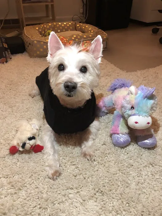 The Family Pet Clinic 12