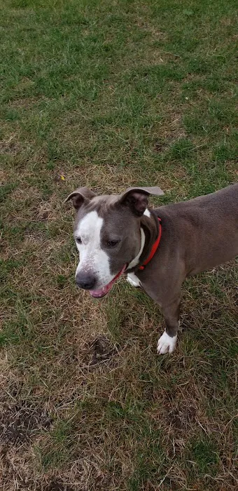 Family Pet Clinic: Slezak Terri J DVM 12
