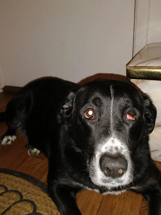 Family Pet Clinic: Slezak Terri J DVM 12