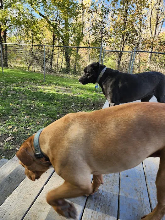 A Suburban Animal Center 7