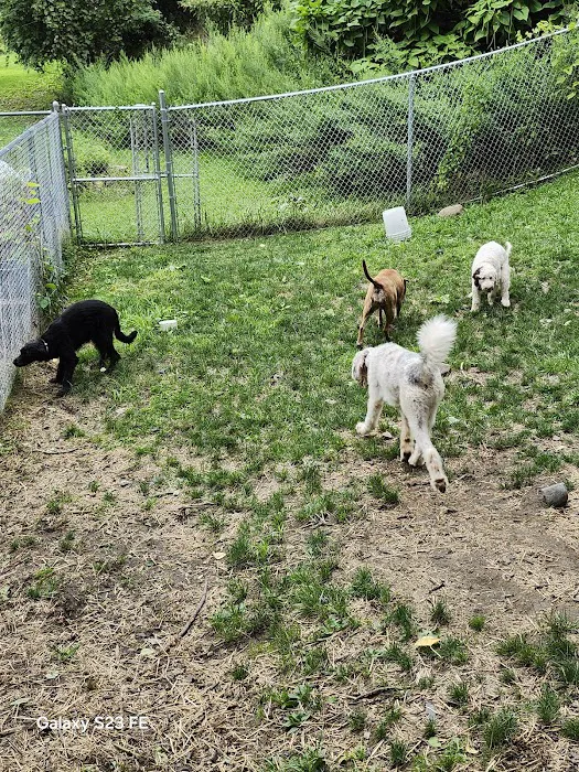 A Suburban Animal Center 10