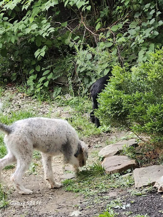 A Suburban Animal Center 1
