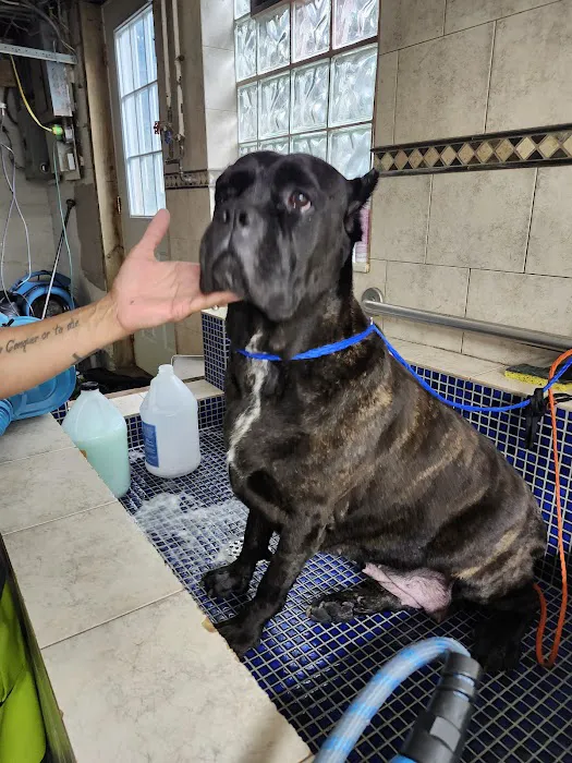 A Suburban Animal Center 3
