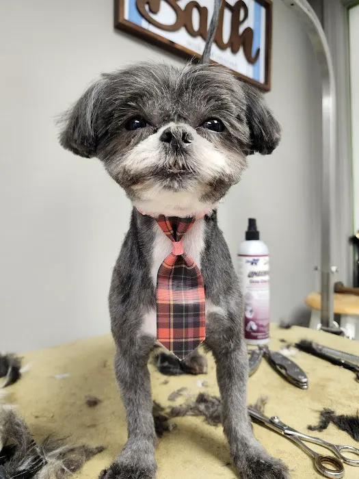 A Suburban Animal Center 2