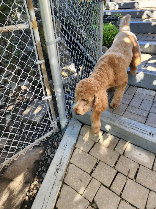 A Suburban Animal Center 9