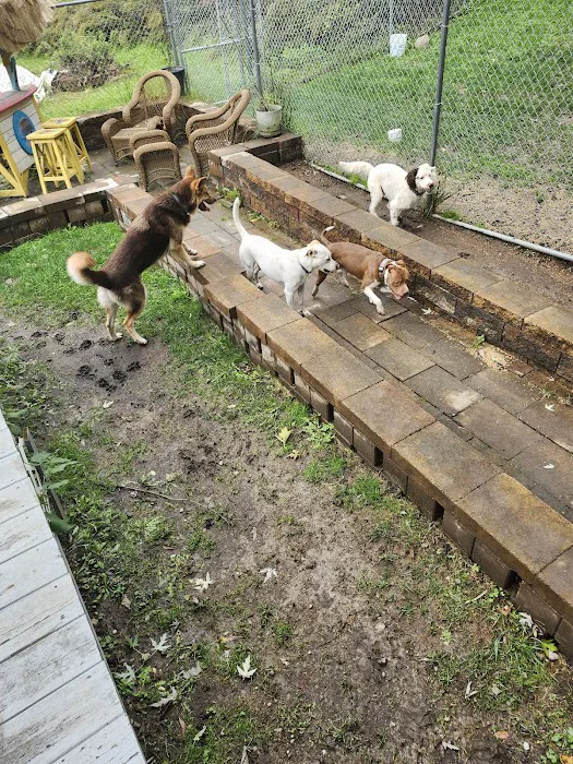 A Suburban Animal Center 8