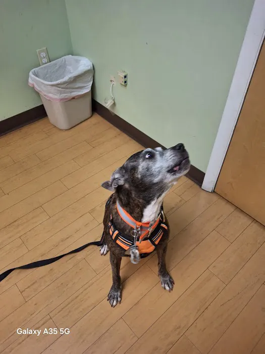 Cleveland Veterinary Clinic 12