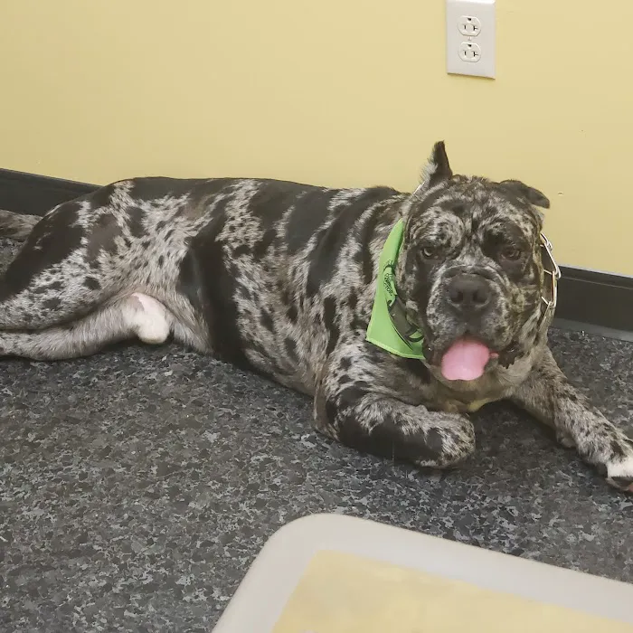 Cleveland Veterinary Clinic 12