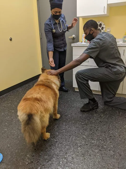 Cleveland Veterinary Clinic 12