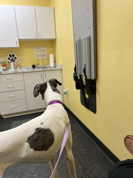 Cleveland Veterinary Clinic 12