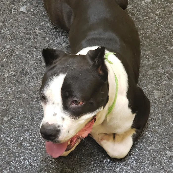 Cleveland Veterinary Clinic 12
