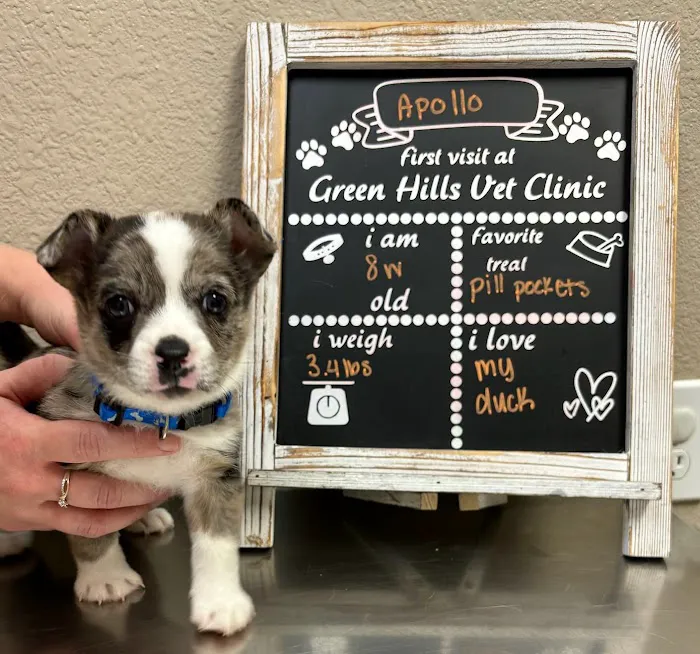Green Hills Veterinary Clinic 9