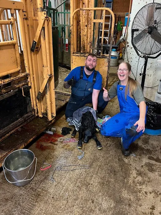 Green Hills Veterinary Clinic 8
