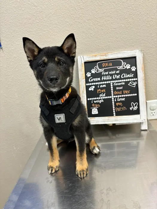 Green Hills Veterinary Clinic 7