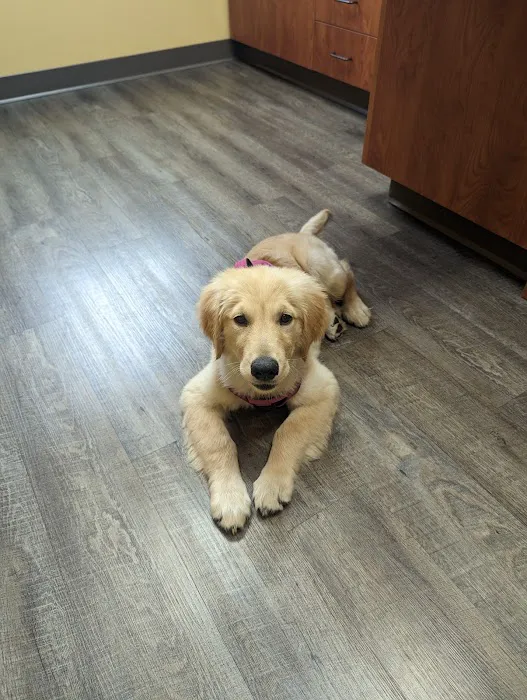 Hometown Veterinary Hospital 6
