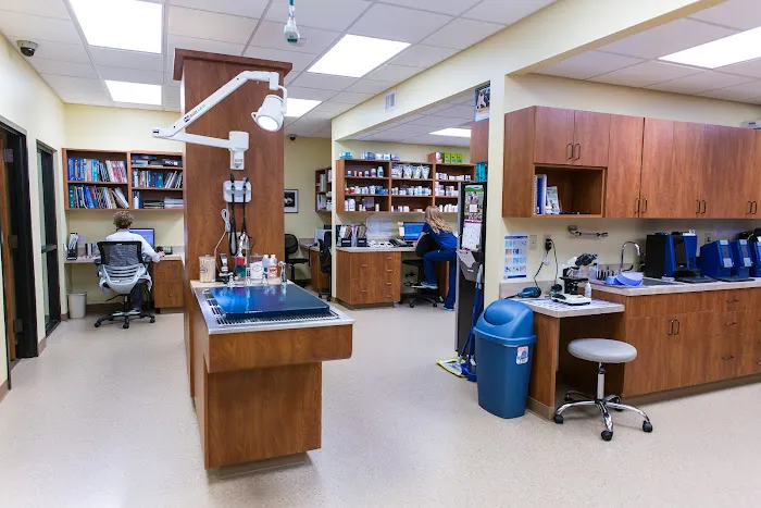 Hometown Veterinary Hospital 5