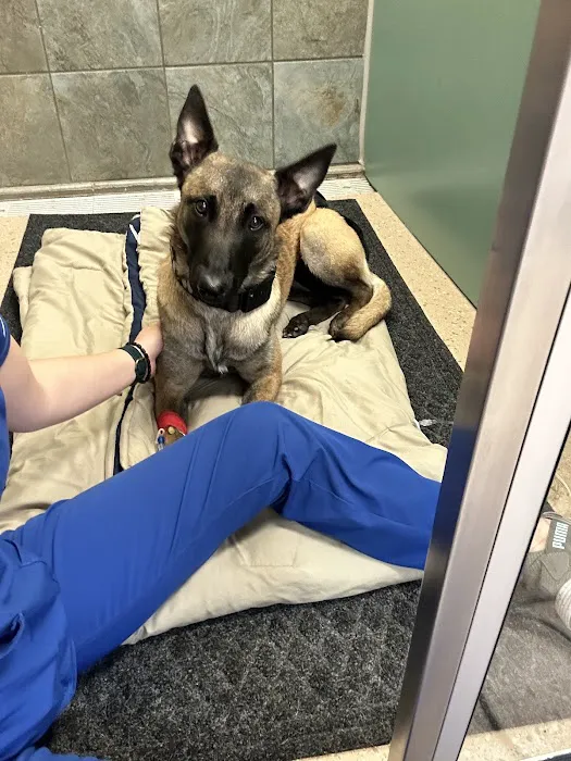 Hometown Veterinary Hospital 9