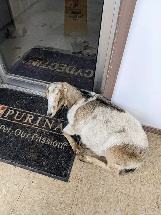 Graff Veterinarian Clinic 2