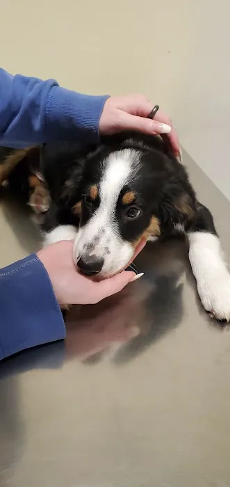 Taylor Veterinary Clinic 2