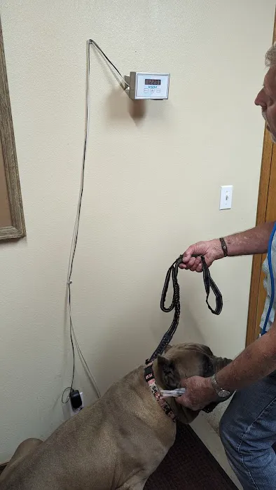 Ash Grove Veterinary Clinic 5