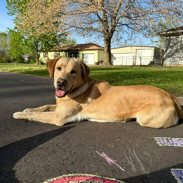 Crossroads Animal Clinic, LLC 6