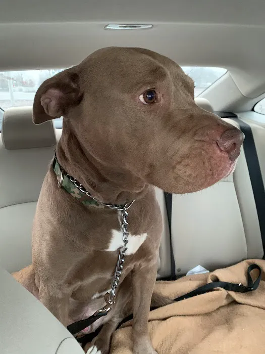 Crossroads Animal Clinic, LLC 8