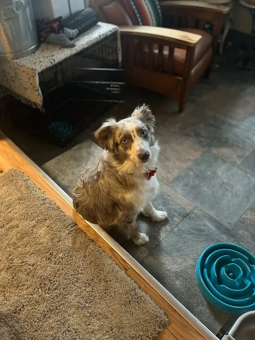 Crossroads Animal Clinic, LLC 10