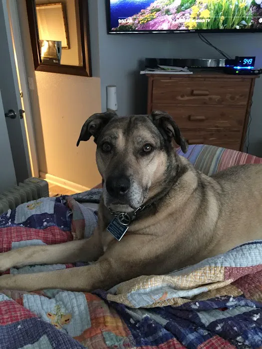 Family Pet Care LLC 7