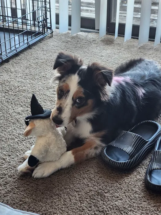 Family Pet Care LLC 8