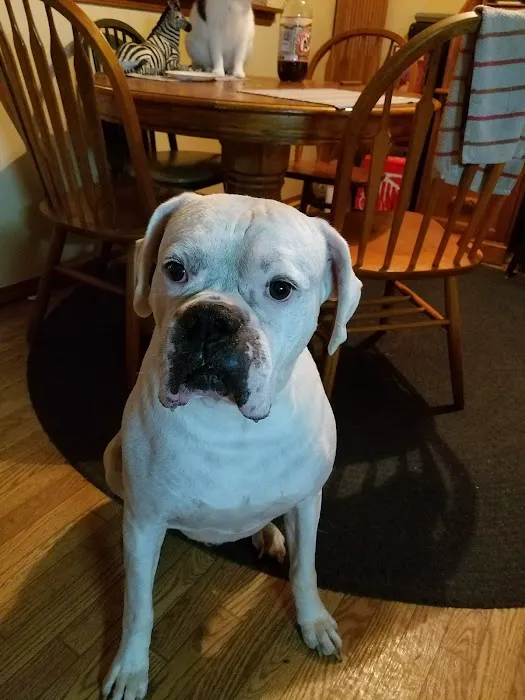 Family Pet Care LLC 6