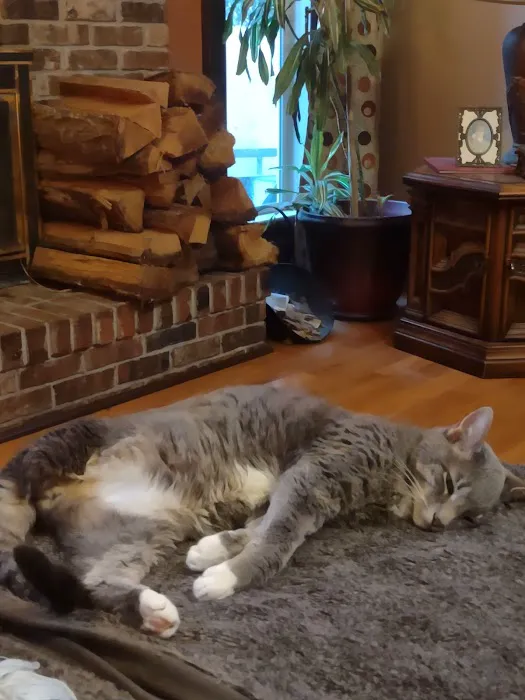 Family Pet Care LLC 9