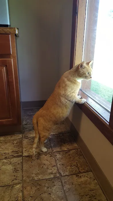 Family Pet Care LLC 2
