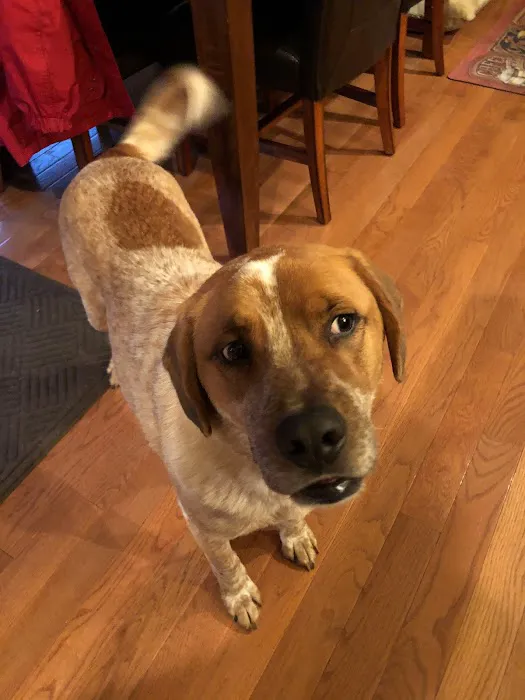Family Pet Care LLC 1