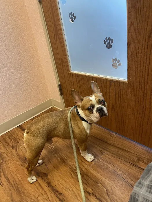 Republic Animal Hospital 9